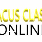 randyshapiro546 Profile Picture