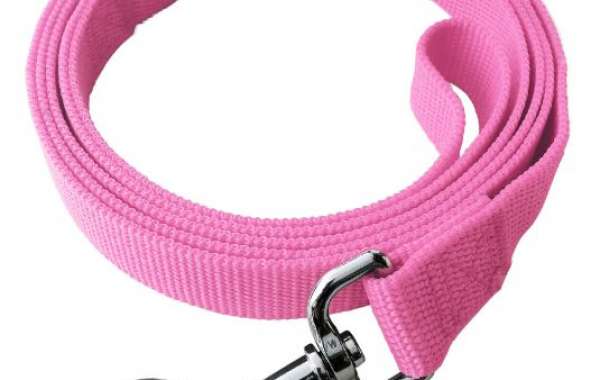 Runway-Ready Resilience: Leashes Merging Couture with Canine Safety