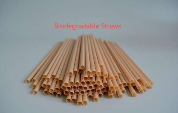 The Growing Importance of Sustainable Straws