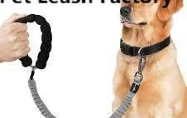 When Quality Meets Pet-Friendly Functionality