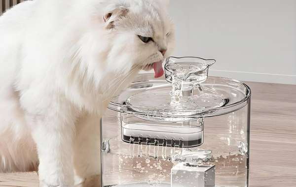 Is Pawtechpet Intelligent Pet Water Dispenser the Future of Pet Care?