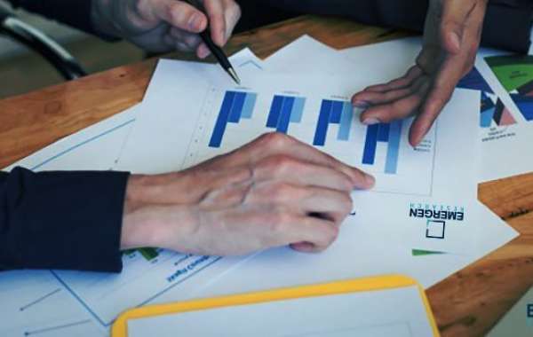 Growing Soft Robot Grippers Market : An Analysis of Trends and Drivers